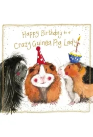 Karnet Urodziny S563 Szalone świnki morskie