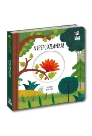 Niespodzianka! Magiczne koło. Kapitan Nauka