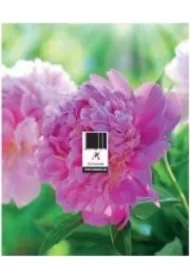 Podstawka zdzierak uniwersalna MIX ARTSEZON