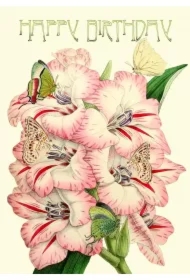 Karnet B6 brokat z kopertą Urodziny Mieczyki