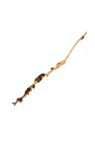 Drewno Sava Wood, 20-70 cm