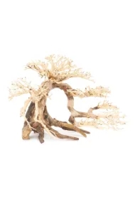 Tonące drzewo Bonsai nr 63 80 x 50
