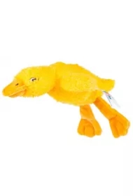 Sensoryczna Gęś żółta