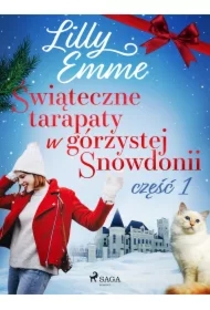 Świąteczne tarapaty w górzystej Snowdonii - część 1