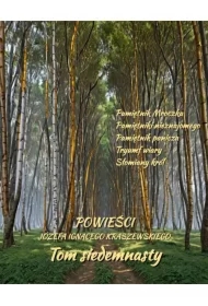 Powieści Józefa Ignacego Kraszewskiego. Tom 17