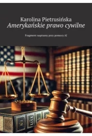 Amerykańskie prawo cywilne