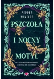 Pszczoła i nocny motyl. Destini Chronicles. Tom 1