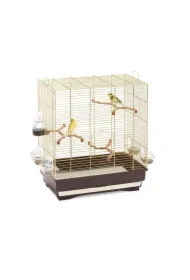 Carlotta, klatka, dla ptaków, złoto/brązowa, 50 x 30 x 56 cm