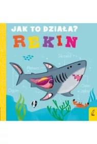 Jak to działa. Rekin