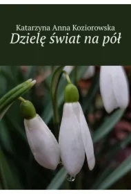 Dzielę świat na pół