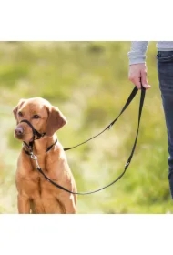 Uprząż top trainer rozm. s, 22 cm