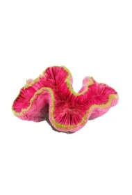 Dekoracja akwarystyczna ukwiał fuksjowy 9cm