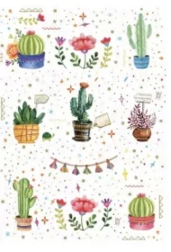 Kartka okolicznościowa Uniwersalna