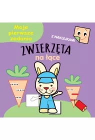 Moje pierwsze zadania. Zwierzęta na łące