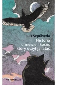 Historia o mewie i kocie, który uczył ją latać