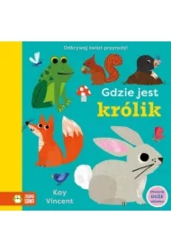 Gdzie jest królik