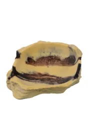 Dekoracja terrarystyczna miska do terrarium pustynna 12cm