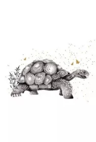 Karnet złocony kwadrat CL3820_BL Żółw