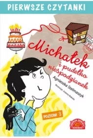 Pierwsze czytanki Michałek i pudełko.. Poziom 3