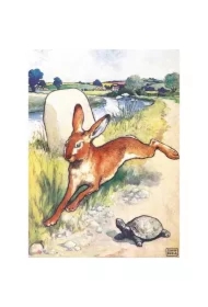 Karnet B6 z kopertą The Hare and the Tortoise