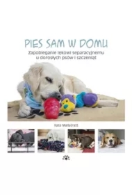Pies sam w domu. Zapobieganie lękowi...