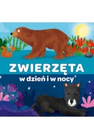 Harmonijka. Zwierzęta w dzień i w nocy