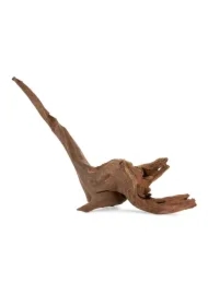 Drzewo Tonące 25-60 cm