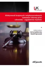 Efektywność krajowych i międzynarodowych... T.1