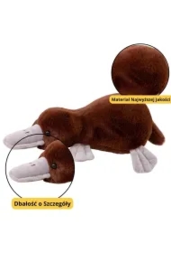 Maskotka Dziobak brązowy 32cm