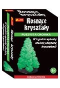 Zdjęcia - Zabawka edukacyjna Ranok Creative Rosnące kryształy. Puszysta choinka zielona 