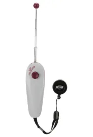 Wskaźnik treningowy dla kota