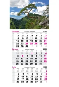 Kalendarz ścienny 2026 trójdzielny Pieniny
