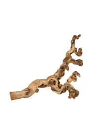 Dekoracja do terarrium, winorośl