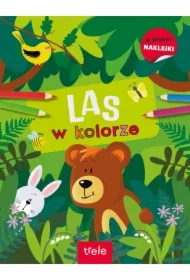 Las w kolorze