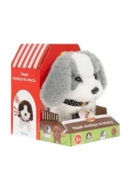 Piesek chodzący na smyczy