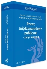 Prawo międzynarodowe publiczne - zarys systemu
