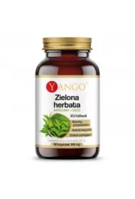 Zielona herbata - 95% polifenoli - Katechiny + EGCG Suplement diety