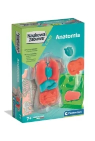 Naukowa Zabawa. Anatomia