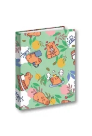 Segregator A4/2 na gumkę Kapibara Łąka