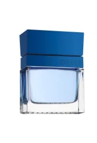 Seductive Blue Homme Woda toaletowa