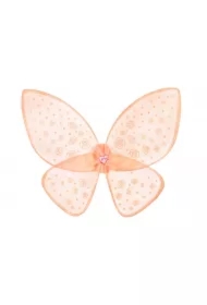 Transparentne skrzydła w róże Rosanna