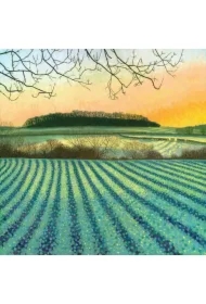 Karnet z kopertą AC10141 Zimowy wschód słońca