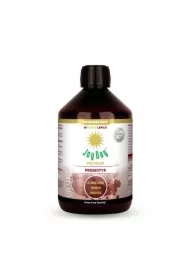 Suplement diety koncentrat napoju probiotycznego kurkuma imbir pieprz bezglutenowy