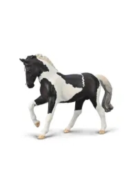 Ogier Ciepłokrwisty Czarny Tobiano