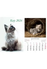 Kalendarz ścienny 2026 Koty