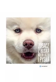 Zobacz z bliska kolor oczu i pyska