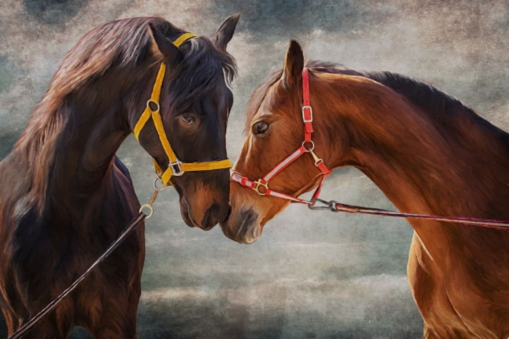 Fototapeta konie 914s