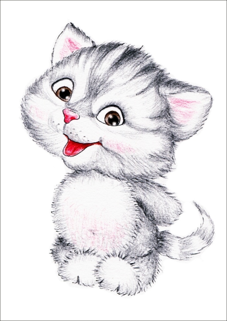 Plakat dla dzieci kotek p012