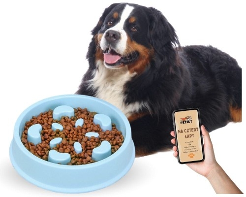 Image of Miska spowalniająca jedzenie dla psa i kota