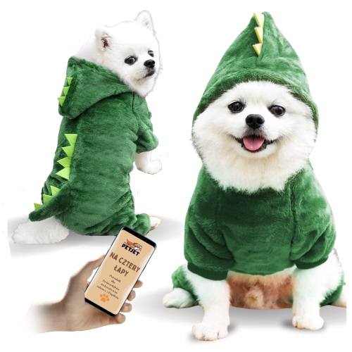 Image of Zielone ubranko dla psa smok rozmiar L